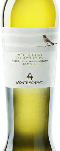 Verdicchio Classico ‘Amphora’, Monte Schiavo 2019