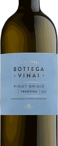 Bottega Vinai Pinot Grigio, Trentino