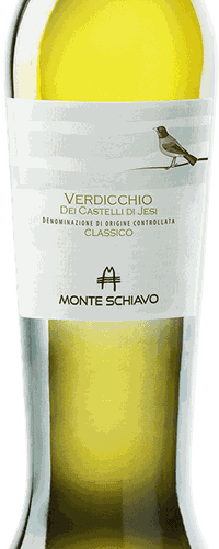 Verdicchio Classico 'Amphora', Monte Schiavo