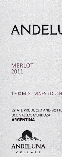 Andeluna '1300' Merlot, Uco Valley