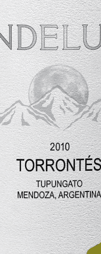 Andeluna '1300' Torrontes, Uco Valley