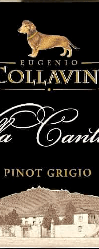 Collavini Pinot Grigio 'Villa Canlungo'