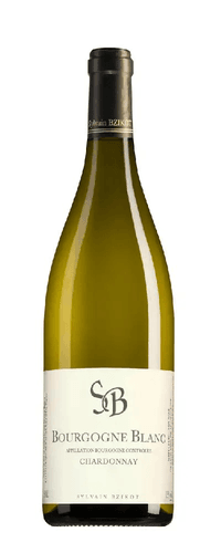 Sylvain Bzikot Bourgogne Blanc 2022