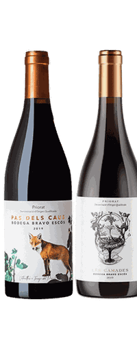 Bodega Bravo Escós - Spaanse Priorat Wijnpakket - Tinto