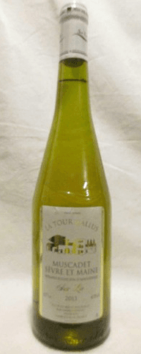 2013 - muscadet - damien rineau la tour gallus