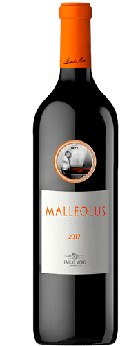 MALLEOLUS