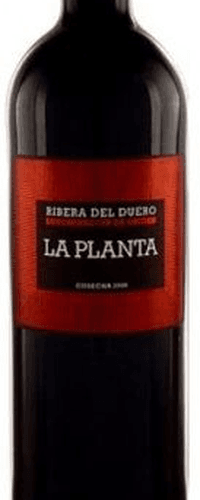 La Planta Arzuaga 2019