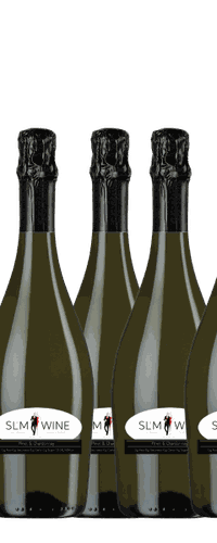 Slimline Wine - Sparkling White - 12 Bottles