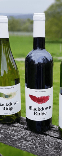 Blackdown Ridge - Mixed case