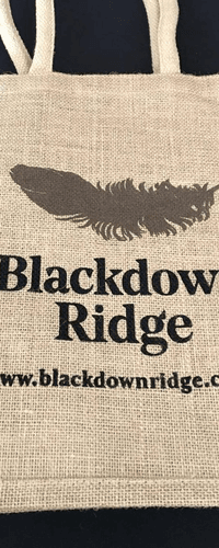 Blackdown Ridge - Wine bag