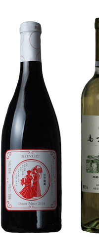 A Tasting Journey of Chinese Fine Wines: Mixed Case of 4