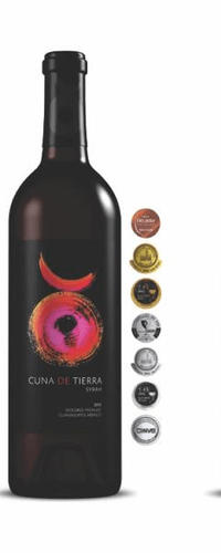 Cuna de Tierra Syrah