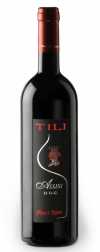 Tili 'Assisi Pinot Nero DOC' Red