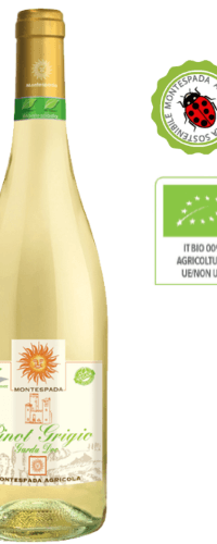 Pinot Grigio Garda Lake DOC 75cl 12.5%Vol.- Vintage 2019 - Organic & Vegan
