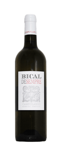Campolargo Bical de Sempre 2021 White Wine