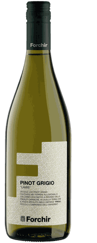 Forchir Lamis Pinot Grigio Friuli Grave DOC, Venezia, Italy, 2020