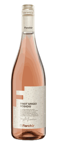 Forchir Pinot Grigio Rosato Friuli Grave DOC, Venezia, Italy, 2021