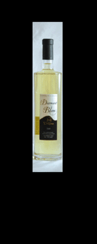 Vin blanc, Domaine de la Source, Bellet, 2013