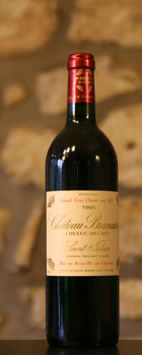 Vin rouge, Château Branaire 1995