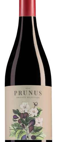 Prunus Dao Tinto 2020