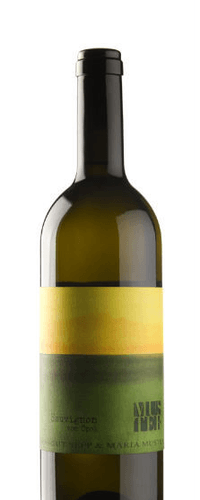 Muster Sauvignon vom Opok 2021