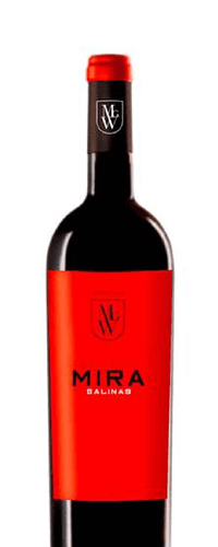 Mira Salinas 2017