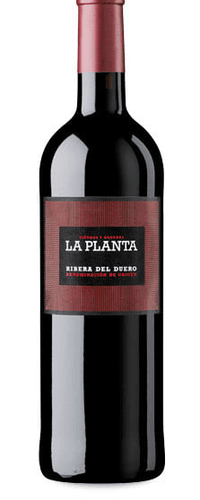 La Planta 2023