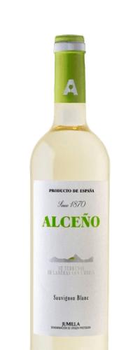Alceño Blanco Joven 2024
