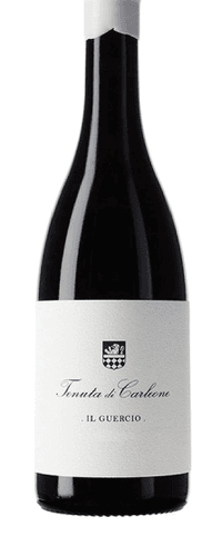 Tenuta di Carleone Il Guercio 2022
