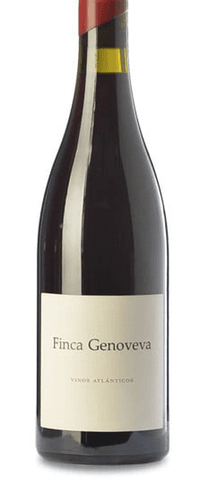 Finca Genoveva Caíño 2022