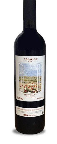 Clos De L'Ona Amagat 2016