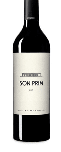 Son Prim Cup 2021