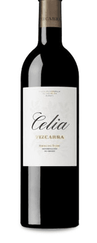 Celia Vizcarra 2021