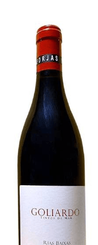 Forjas del Salnés Goliardo Tinto 2021