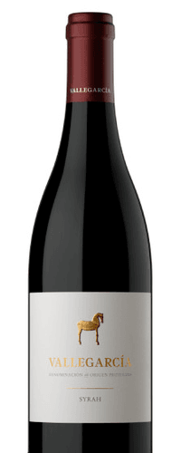 Vallegarcía Syrah 2022
