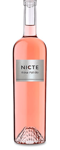 Nicte Rosa Pálido 2024