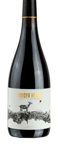 Payoya Negra 2022