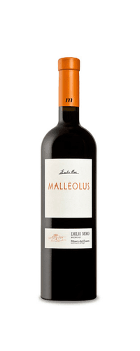 Malleolus 2019