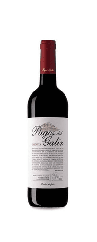 Pagos de Galir Mencía 2017