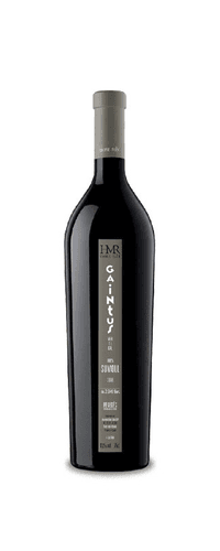 Gaintus Vertical 2011