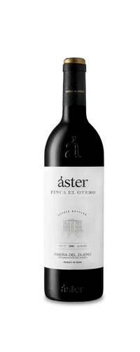 Áster Finca El Otero 2016 Outlet