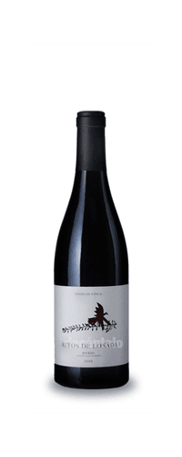 Altos de Losada 2019