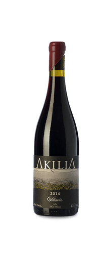 Akilia Villarín 2019