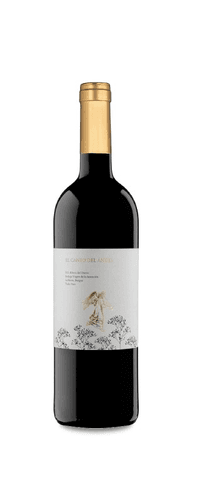 El Canto del Ángel 2014