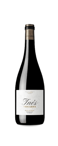 Inés Vizcarra 2015