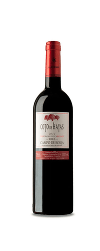 Coto de Hayas Tempranillo Cabernet Roble 2020