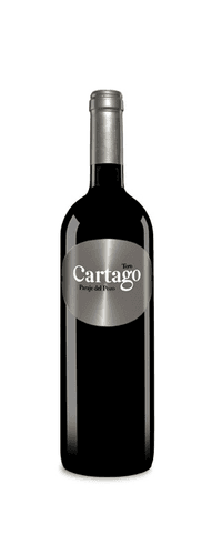 Cartago Paraje del Pozo 2017