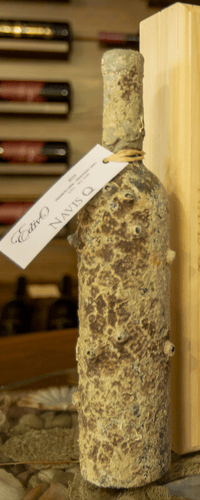 Navis Q Undersea Bottle