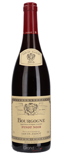2016 Louis Jadot Pinot Noir Bourgogne