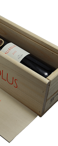 2013 Emilio Moro Malleolus Magnum